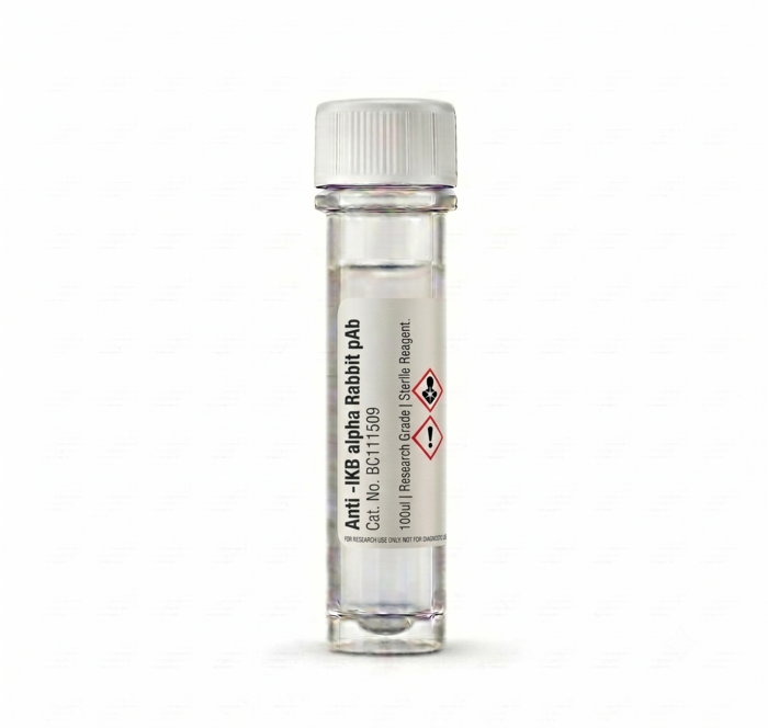 Laboratory Antibodies