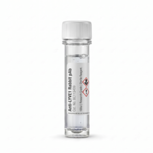 Anti-LYVE1 Rabbit Polyclonal Antibody 100ul BC113499