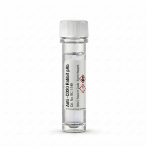 Anti-CD20 Rabbit Polyclonal Antibody 100ul BC11540
