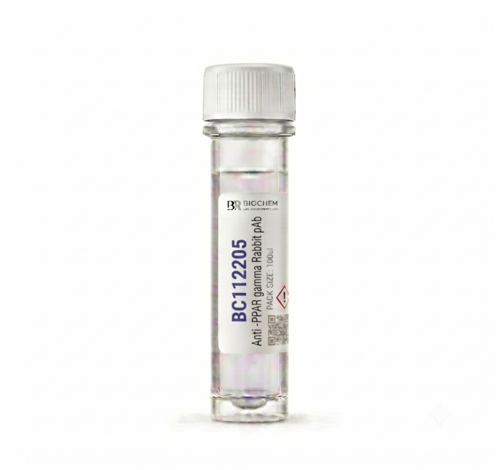 Anti-PPAR gamma Rabbit Polyclonal Antibody 100ul