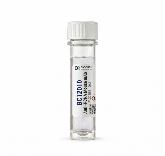 Anti-PCNA Mouse mAb 100ul (BC12010)