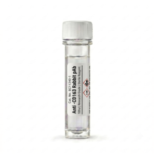 Anti-CD163 Rabbit pAb 100ul Antibody BC11340-1