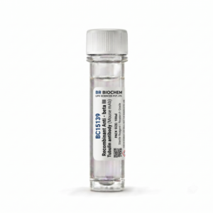 BC15139 Recombinant Anti-beta III Tubulin Mouse mAb 100ul