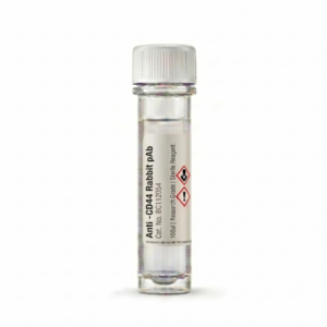 Anti-CD44 Rabbit pAb 100ul Antibody