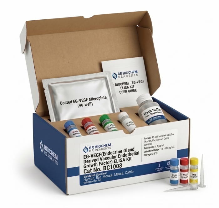 BC1008 EG-VEGF ELISA Kit - Highly Sensitive Assay
