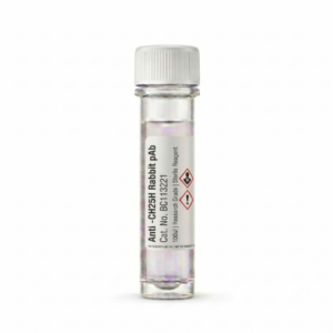 Anti-CH25H Rabbit pAb 100ul - High-Affinity Antibody