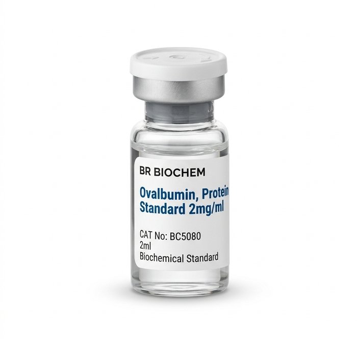 Ovalbumin Protein Standard 2ml - BC5080
