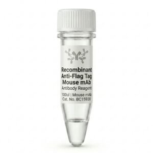 BC15938 Recombinant Anti-Flag Tag Mouse mAb 100ul