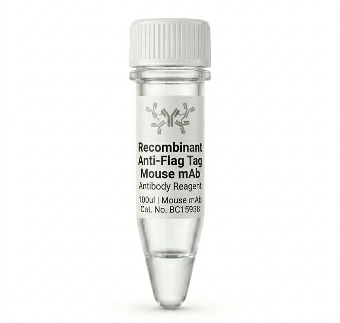 BC15938 Recombinant Anti-Flag Tag Mouse mAb 100ul