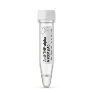 Anti-TNF-alpha Rabbit Polyclonal Antibody 100ul BC11188