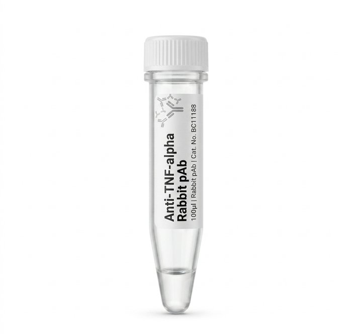 Biochemical Antibodies