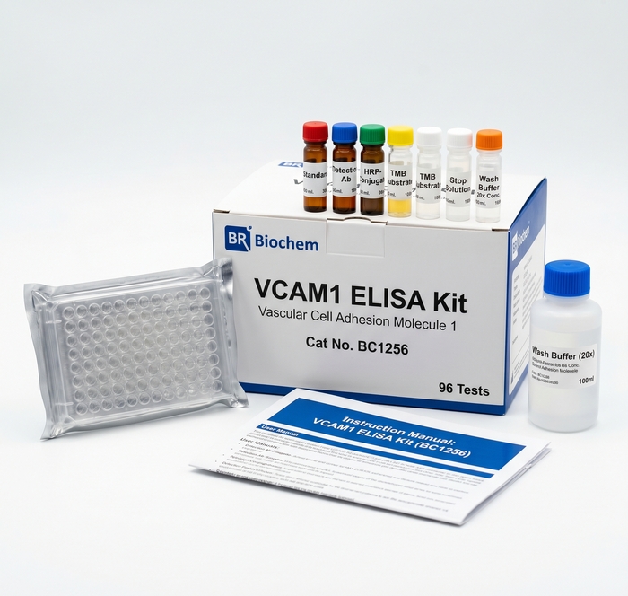 BC1256 VCAM1 ELISA Kit - High Sensitivity Assay