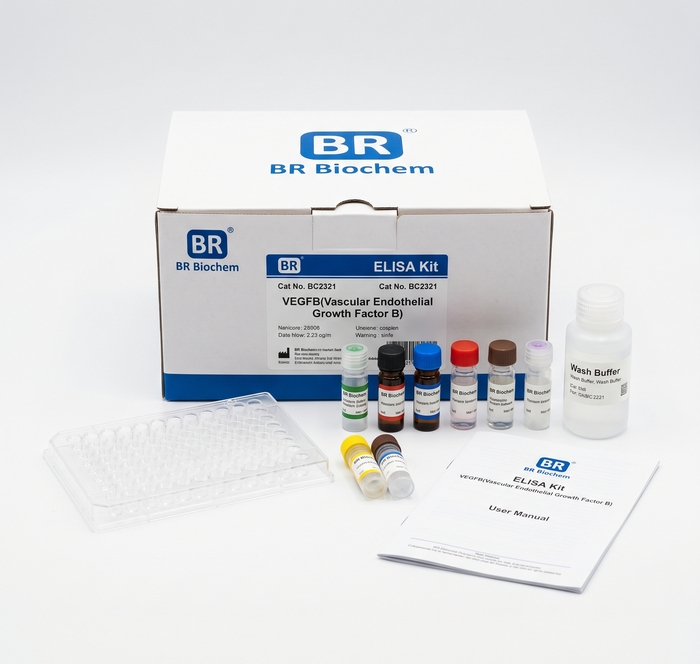 BC2321 VEGFB ELISA Kit - Human and Mouse