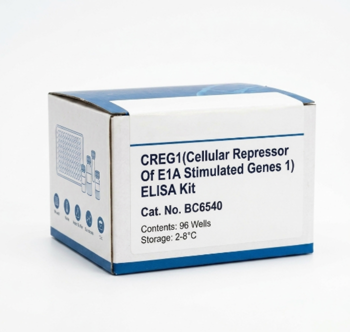 BC6540 CREG1 ELISA Kit for Human and Mouse