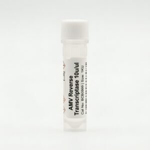 AMV Reverse Transcriptase 10U/uL 1KU Pack BCB0999