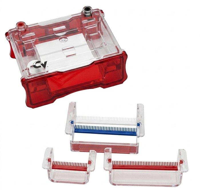 BI-1110-01 MIDI Horizontal Electrophoresis System