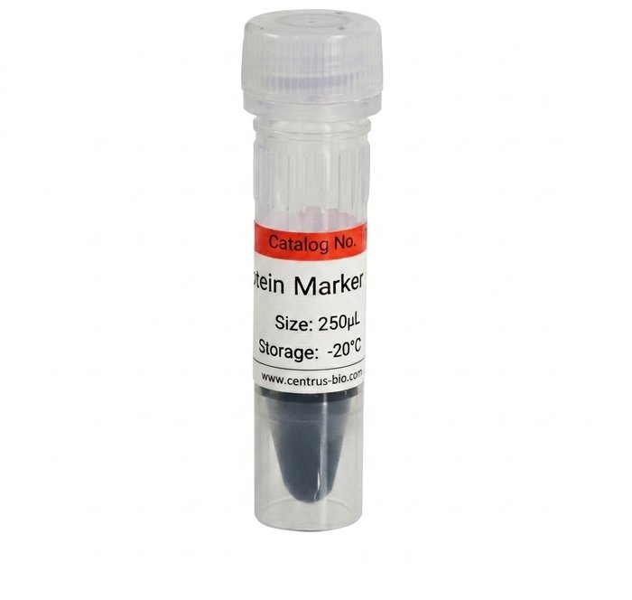 Electrophoresis Markers