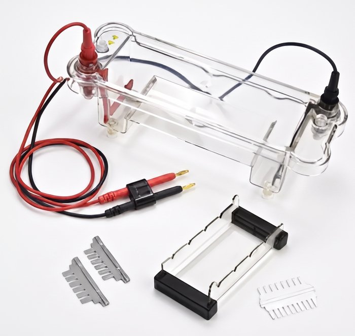 BICP-31BN Mini Horizontal Electrophoresis System